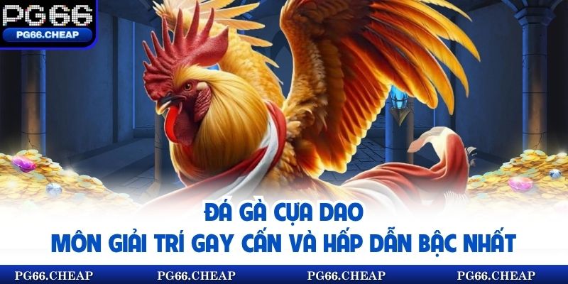 Đá Gà Cựa Dao – Môn Giải Trí Gay Cấn Và Hấp Dẫn Bậc Nhất