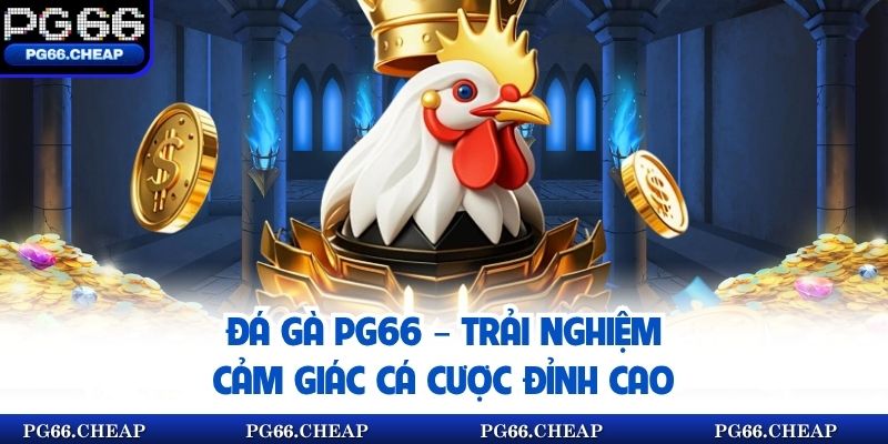 Đá Gà Online PG66 – Trải Nghiệm Cảm Giác Cá Cược Đỉnh Cao